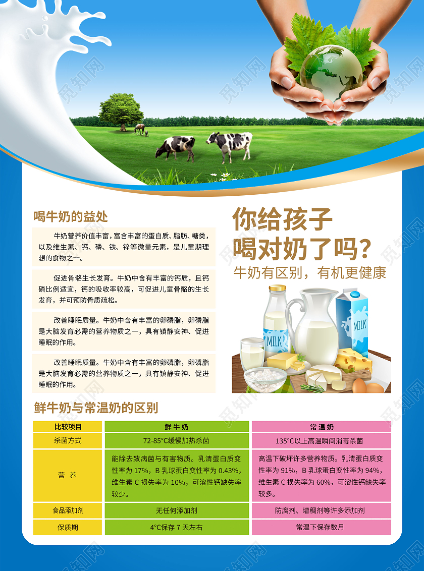 蓝色新鲜简约有机纯牛奶宣传彩页牛奶宣传单