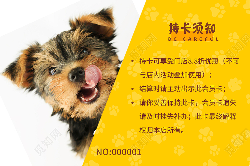 黄色简约卡通宠物美容洗护会员卡美容会员卡