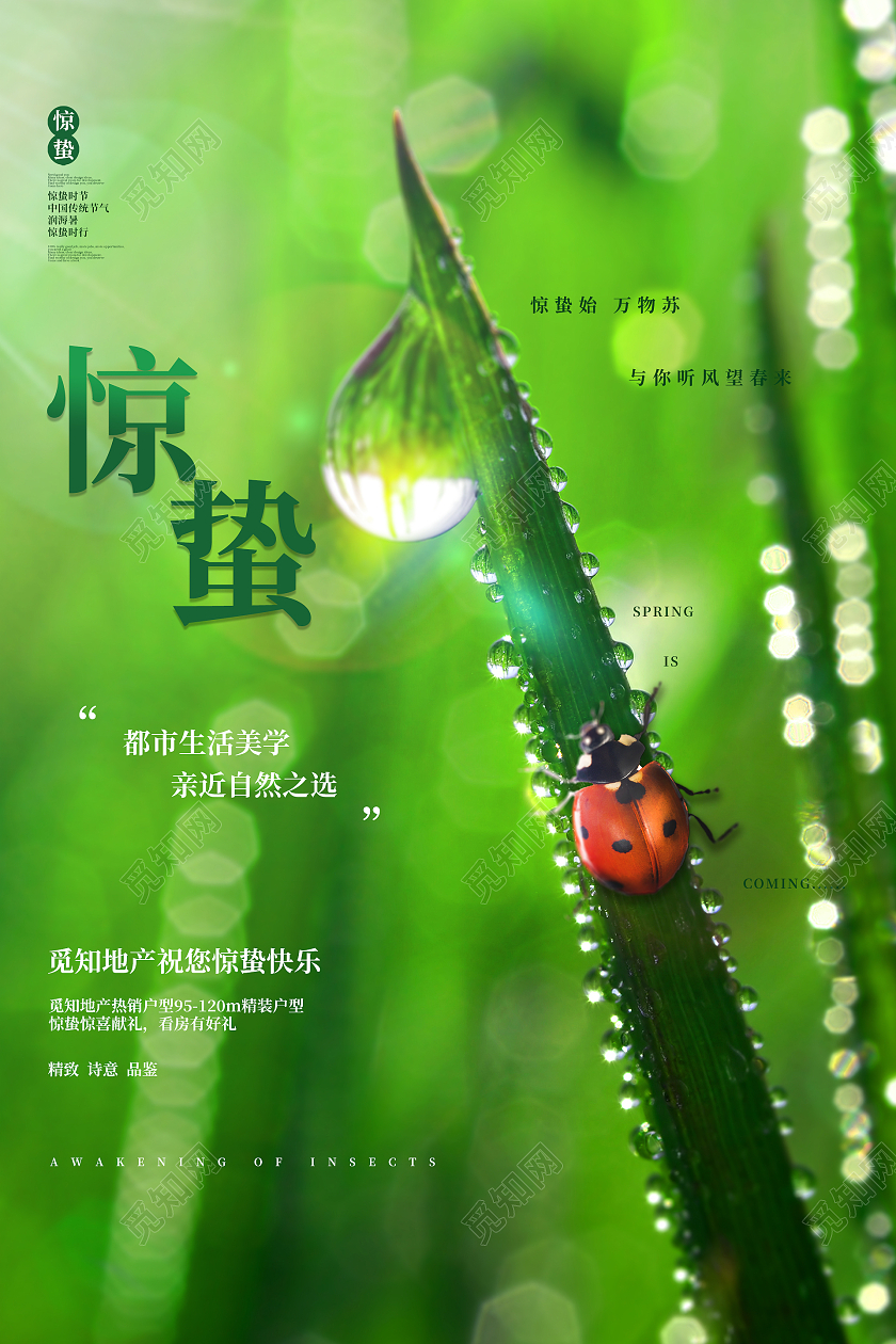 绿色小清新绿叶瓢虫露珠惊蛰海报设计