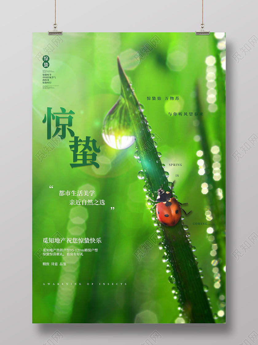 绿色小清新绿叶瓢虫露珠惊蛰海报设计