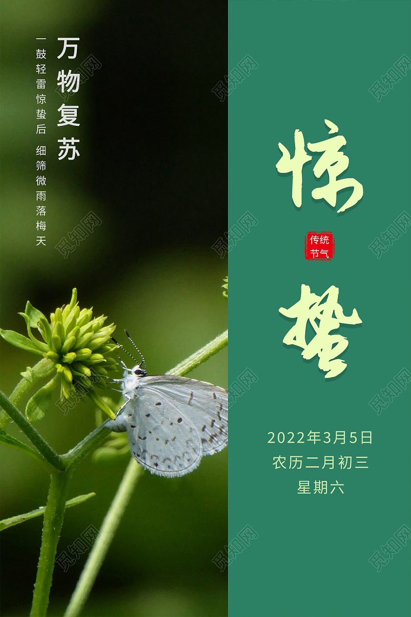 绿色简约清新摄影图二十四节气惊蛰海报