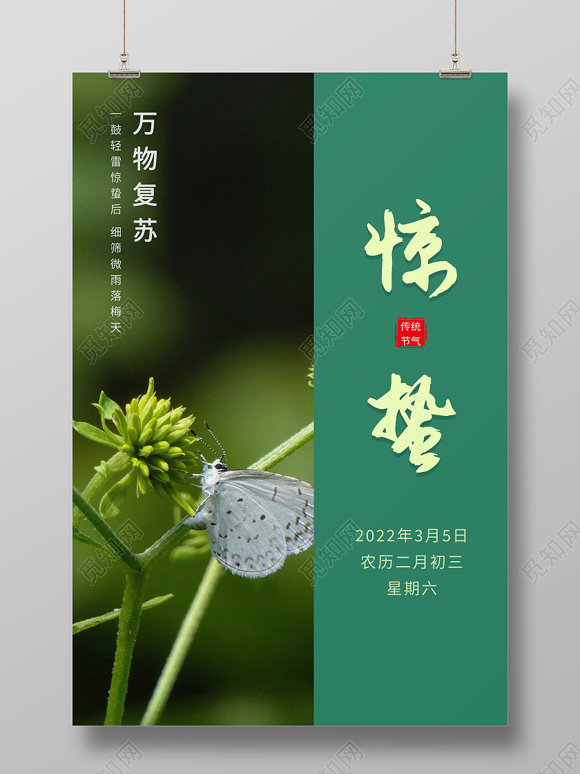 绿色简约清新摄影图二十四节气惊蛰海报