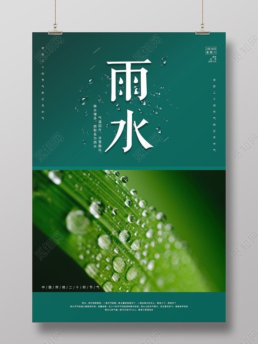 绿色简约清新摄影图二十四节气雨水海报