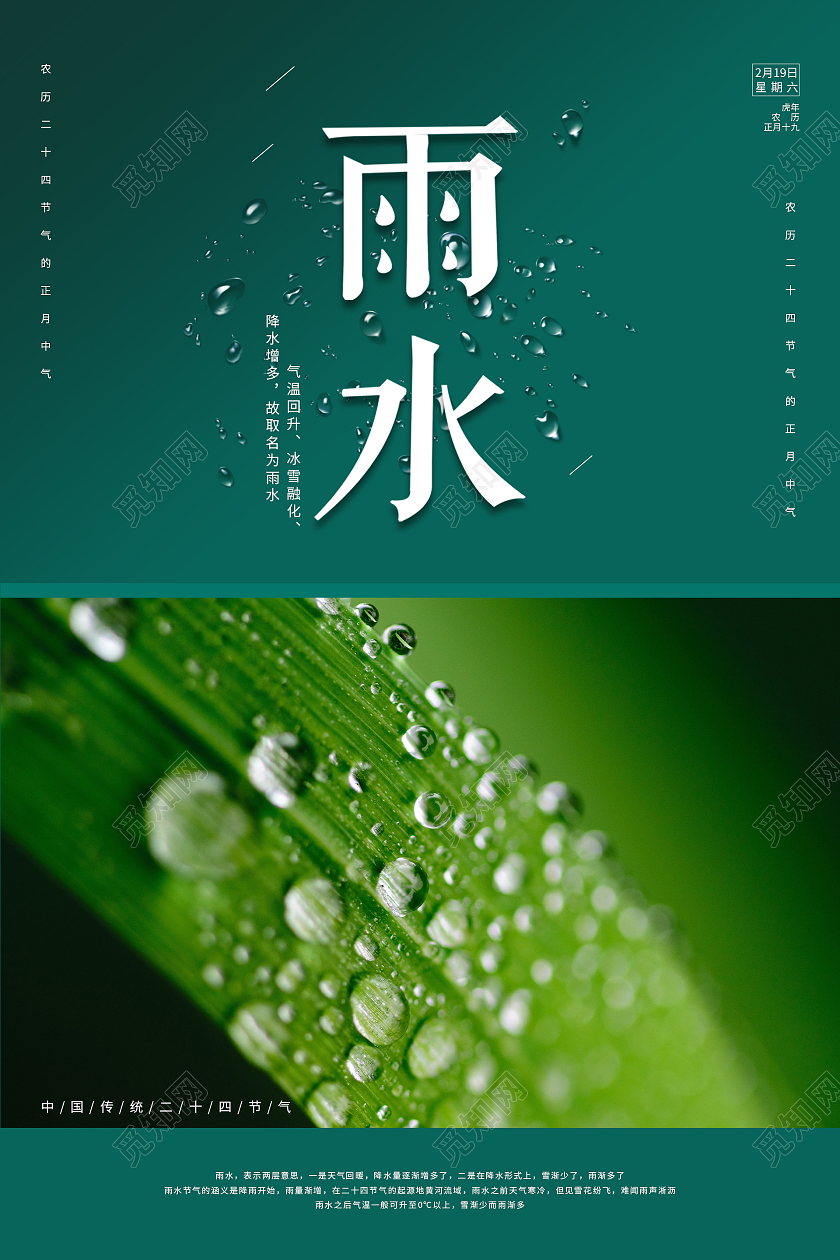 绿色简约清新摄影图二十四节气雨水海报