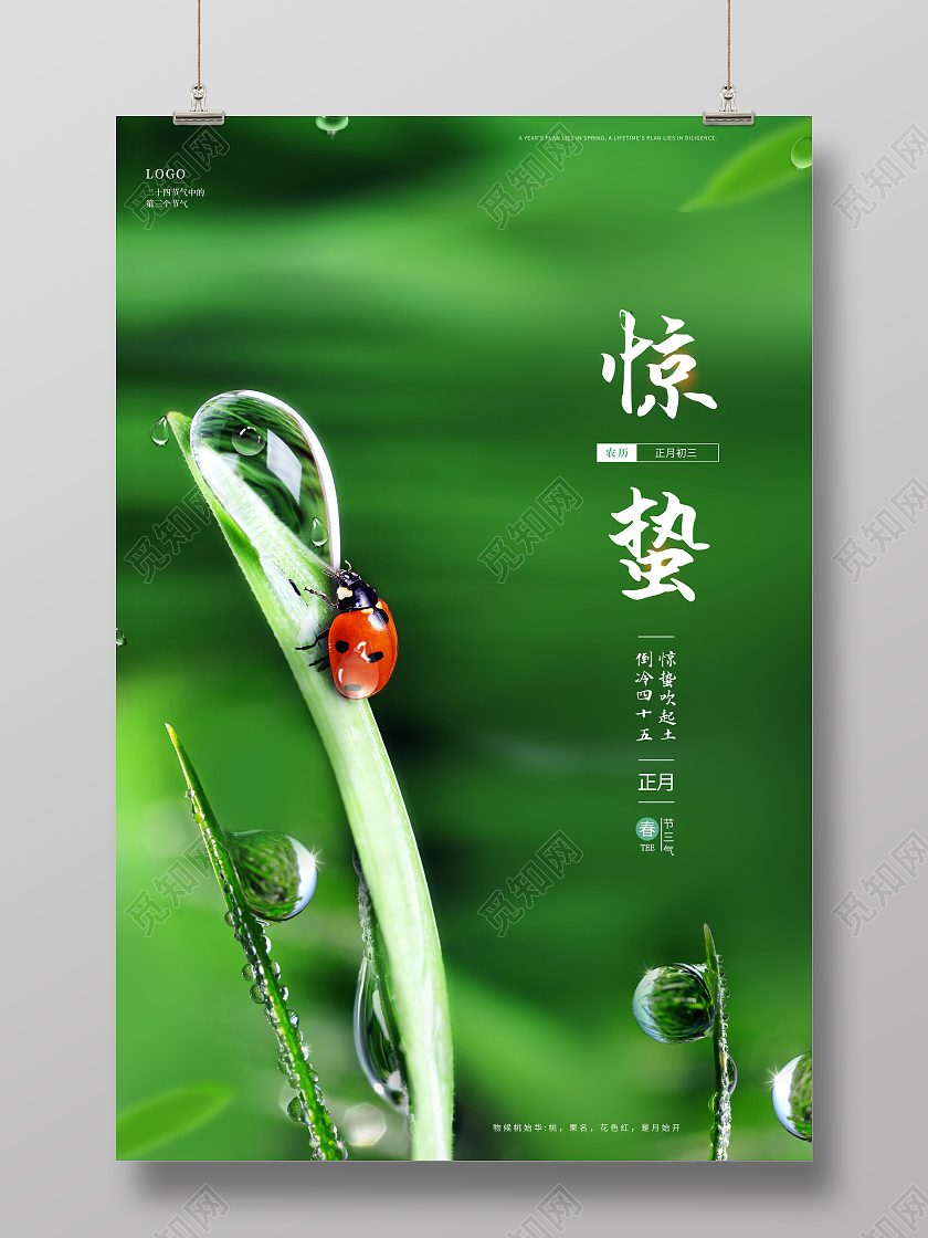 清新创意二十四节气惊蛰中国传统节气海报惊蛰二十四节气