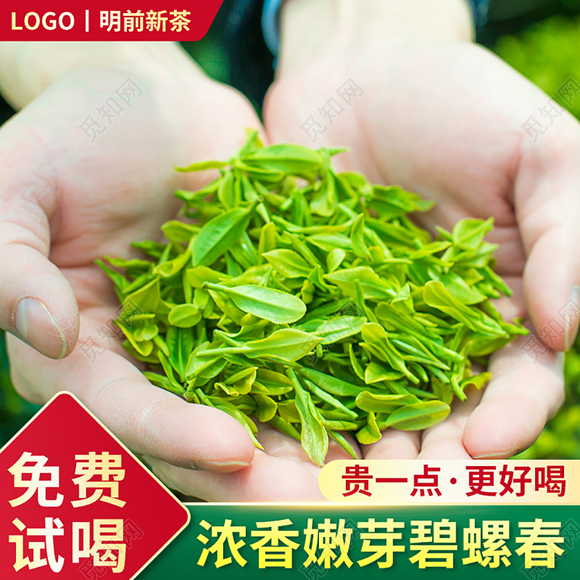 红色简约明前新茶春茶免费试喝浓香嫩芽碧螺春茶叶绿茶主图直通车