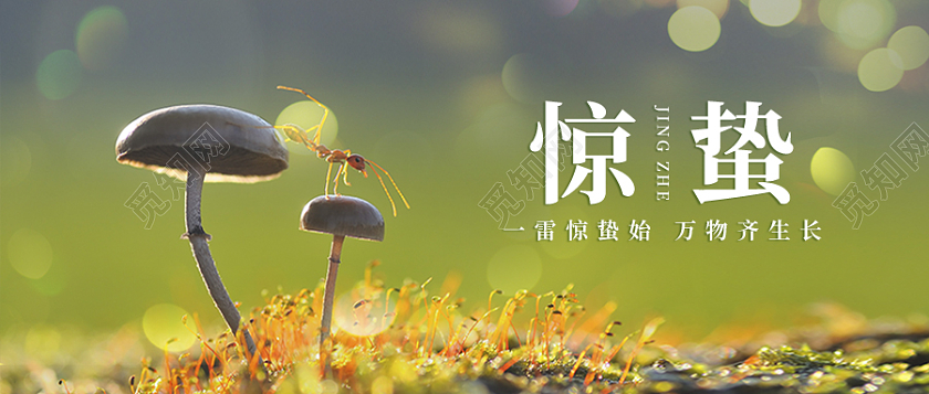 绿色春天实景惊蛰首图微信公众号首图二十四节气惊蛰二十四节气