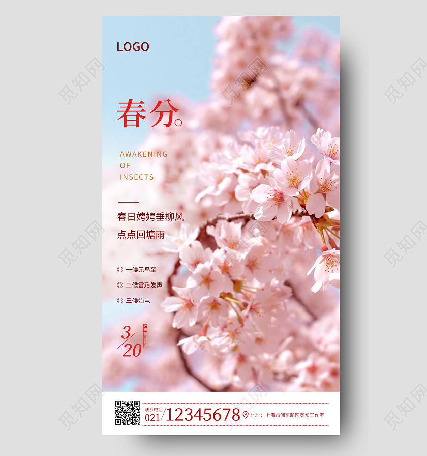 蓝色简约实景春分手机宣传海报24节气二十四节气春分