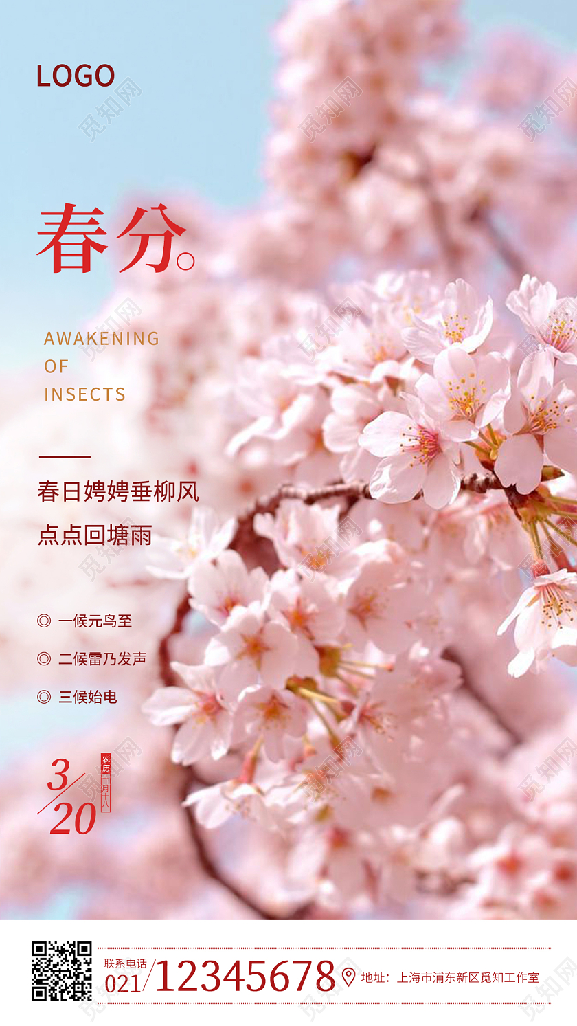 蓝色简约实景春分手机宣传海报24节气二十四节气春分