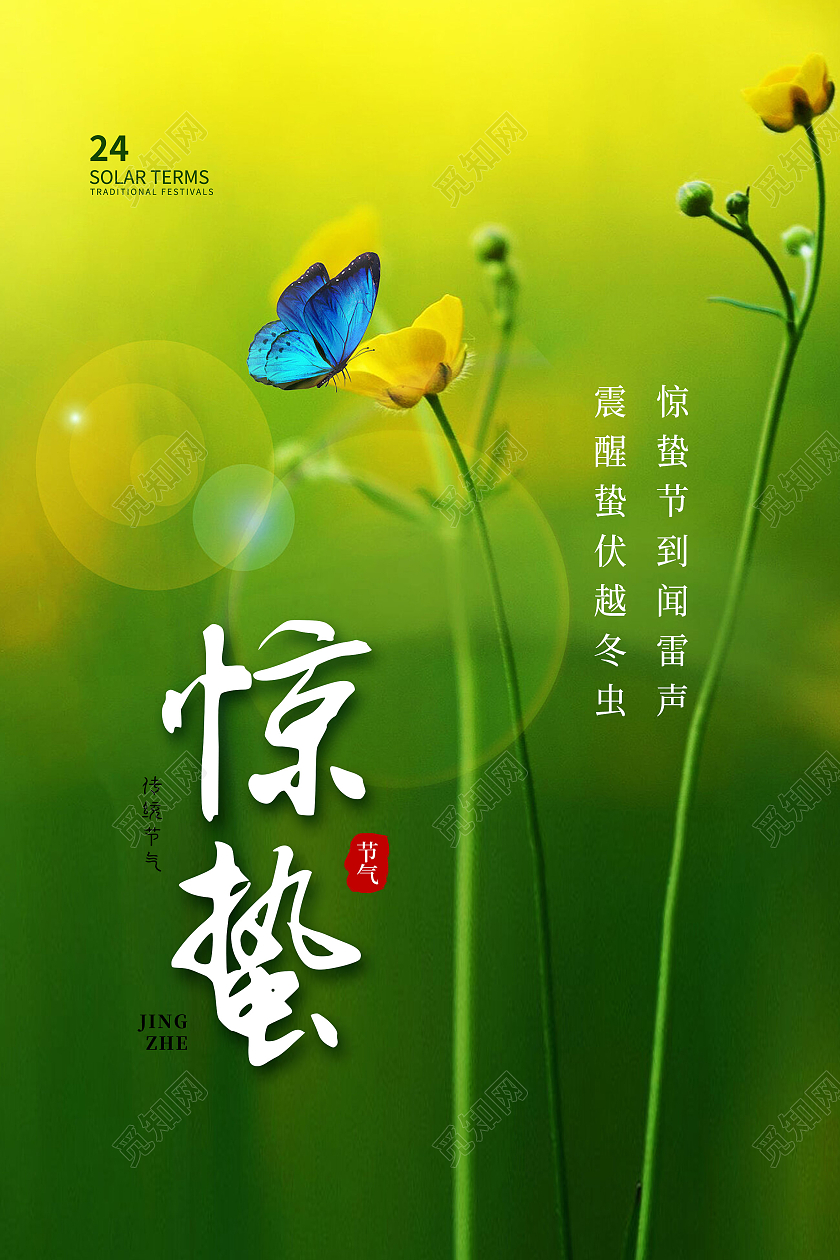绿色简约惊蛰二十四节气惊蛰海报