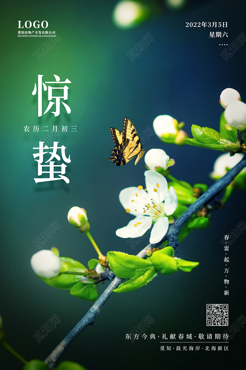 绿色简约惊蛰二十四节气地产惊蛰海报24节气二十四节气惊蛰房地产