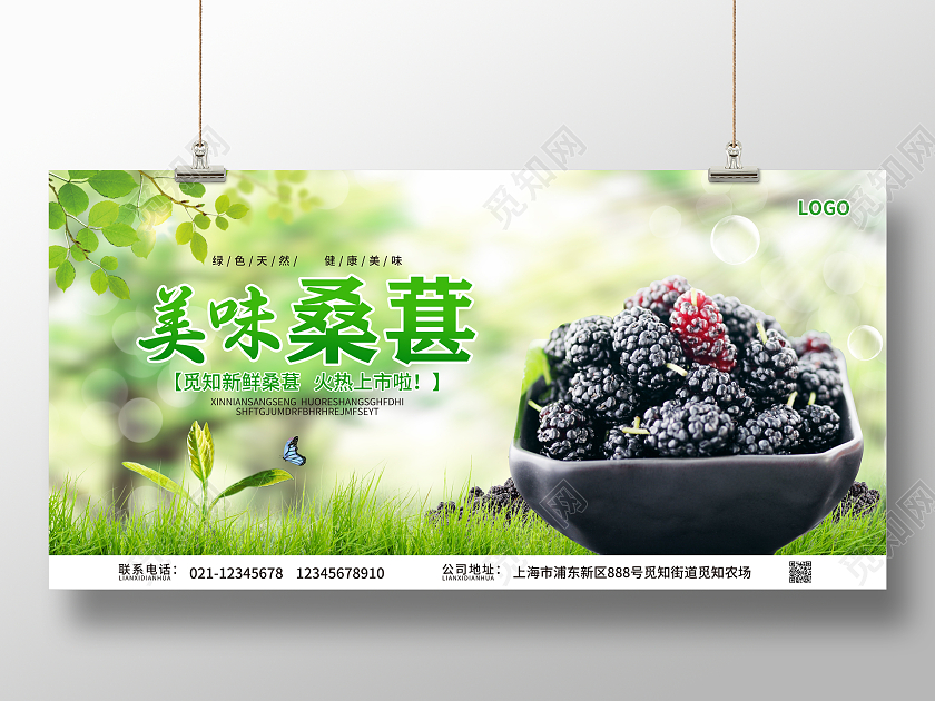 绿色简约大气风美味桑葚桑葚海报展板