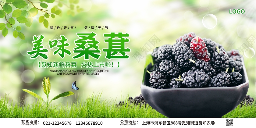 绿色简约大气风美味桑葚桑葚海报展板