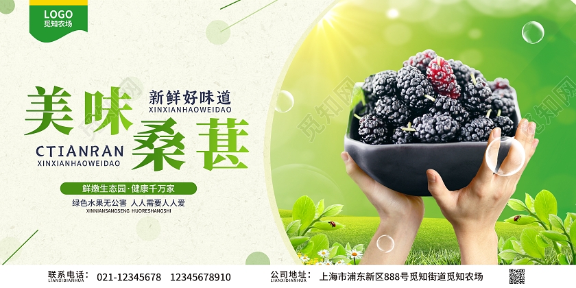 绿色简约大气风美味桑葚桑葚海报展板