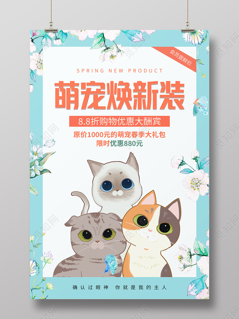 绿色手绘边框花边小清新蓝色萌宠焕新装宠物海报