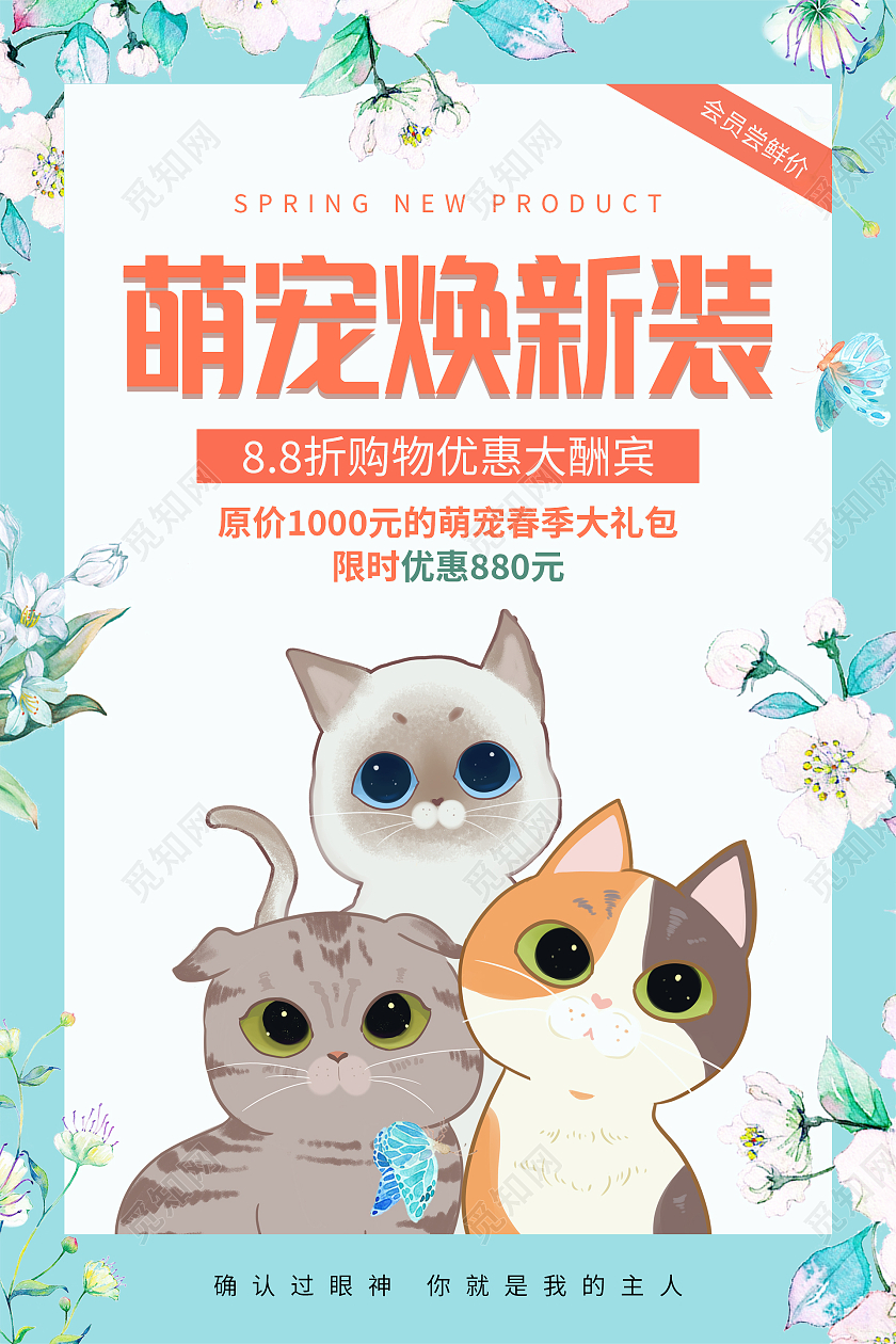 绿色手绘边框花边小清新蓝色萌宠焕新装宠物海报