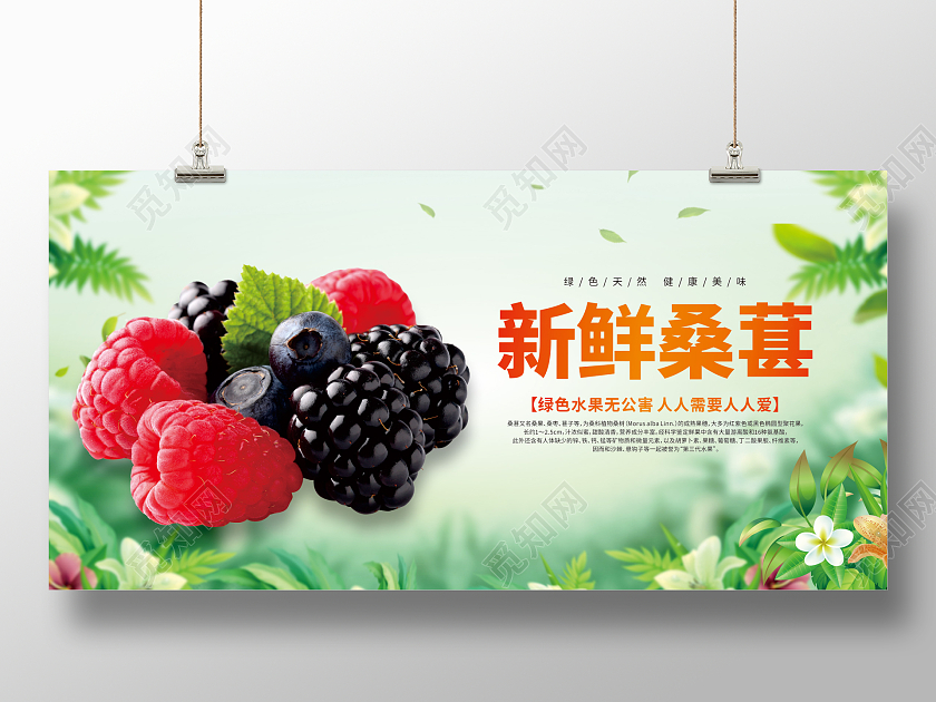 绿色小清新新鲜桑葚展板