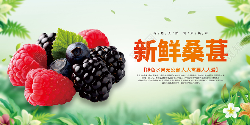 绿色小清新新鲜桑葚展板