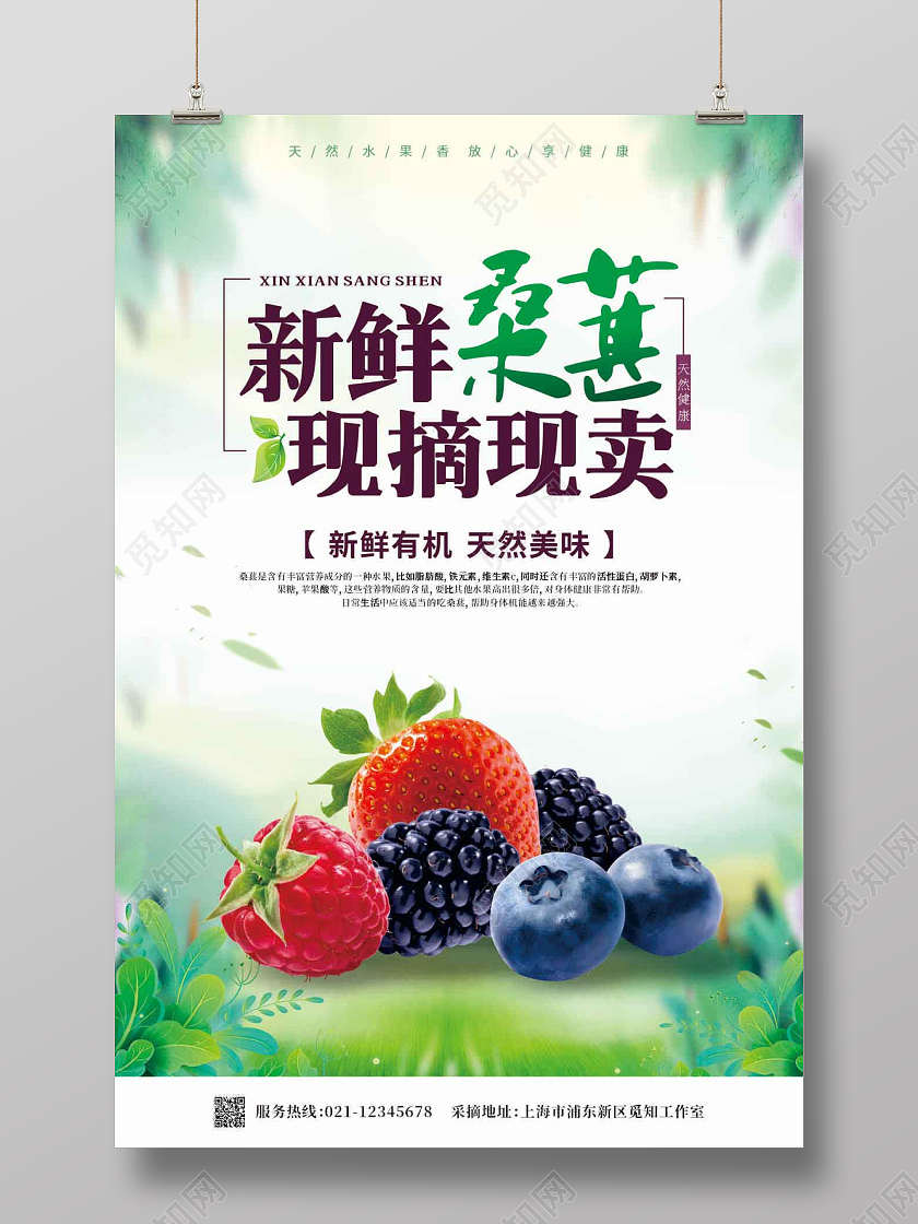 绿色渐变新鲜采摘桑葚海报