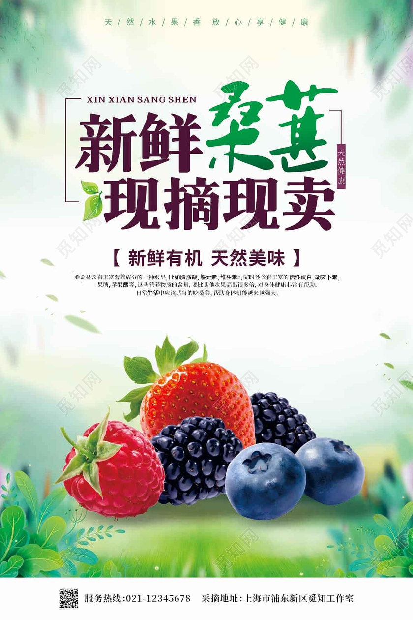 绿色渐变新鲜采摘桑葚海报