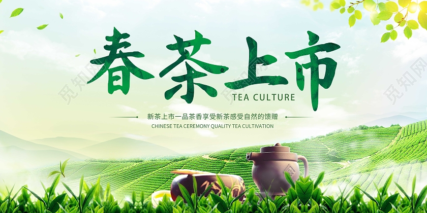 绿色大气2022春茶上市宣传展板春茶茶叶