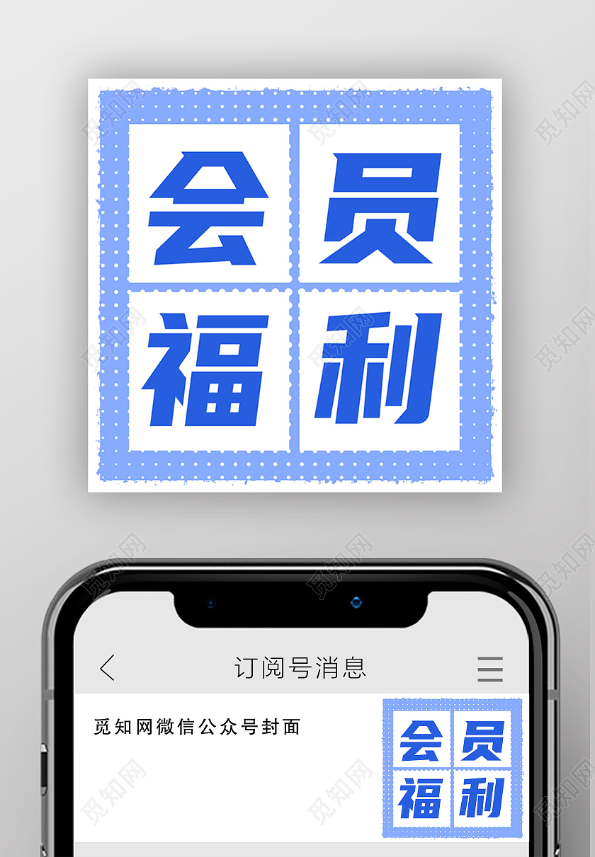 蓝色简约会员日会员福利会员福利次图