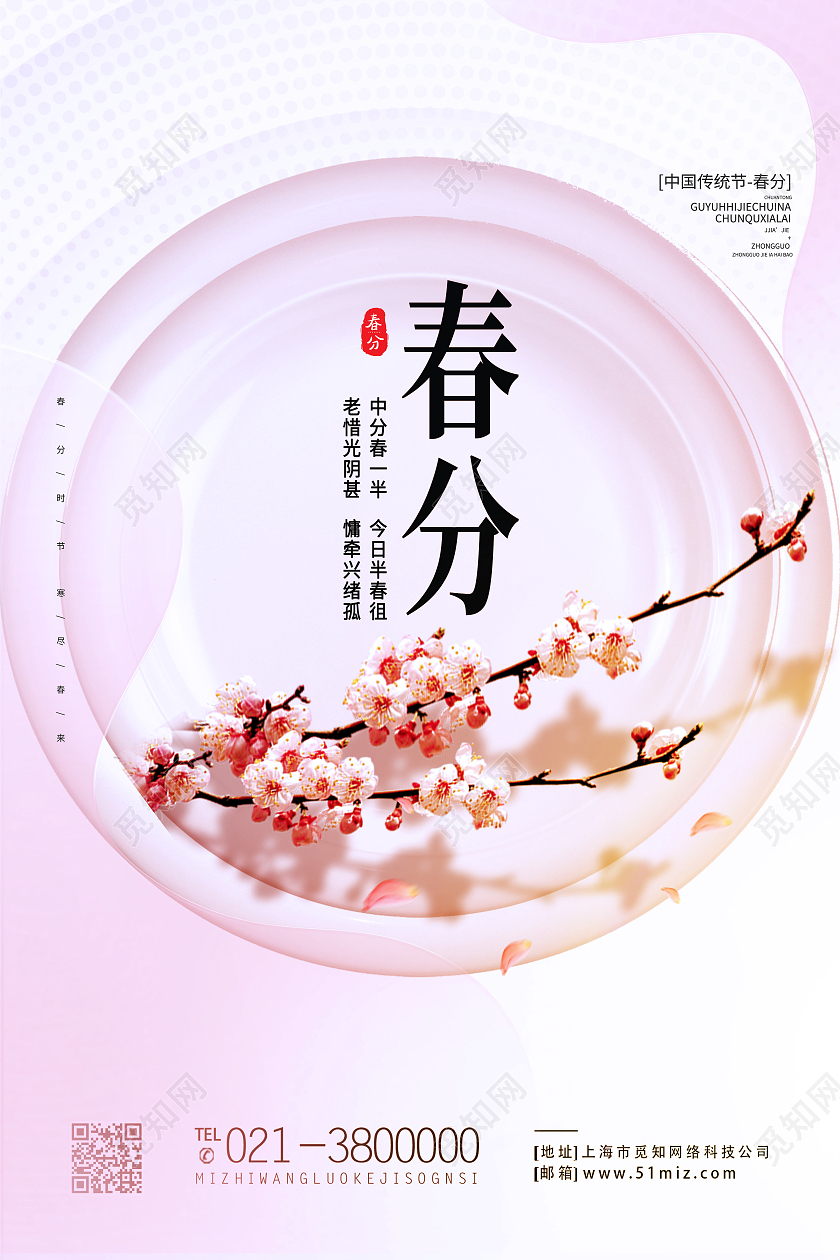 粉色简约春分节气二十四节气春分海报
