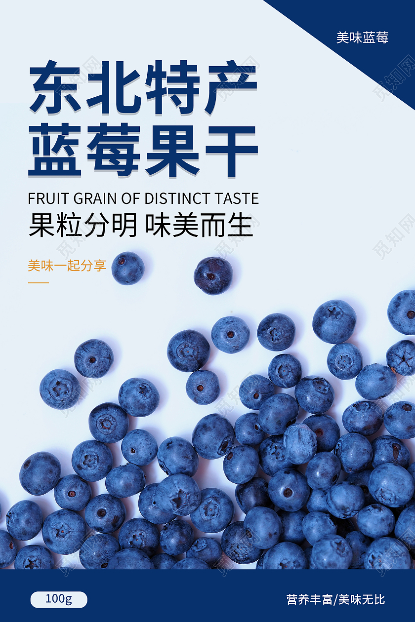 蓝色简约清新大气东北特产蓝莓果干蓝莓包装设计
