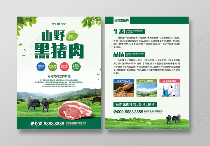 绿色大气猪肉山野黑猪肉黑猪宣传单
