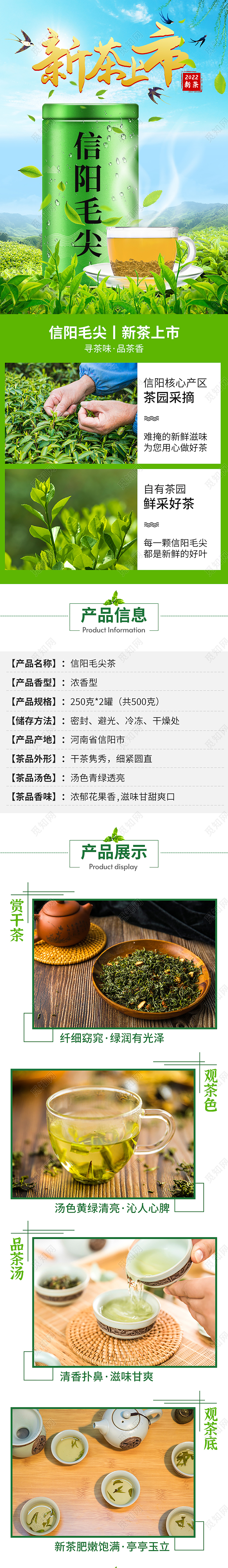 青色简约2022新茶上市茶园采摘甘醇爽口茶叶信阳毛尖详情页