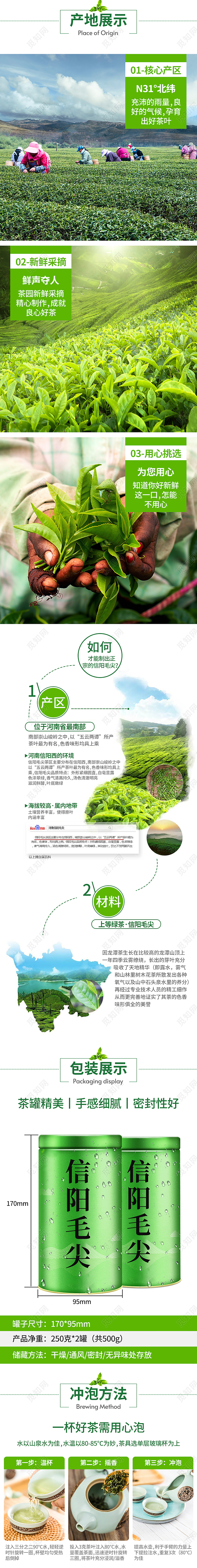 青色简约2022新茶上市茶园采摘甘醇爽口茶叶信阳毛尖详情页