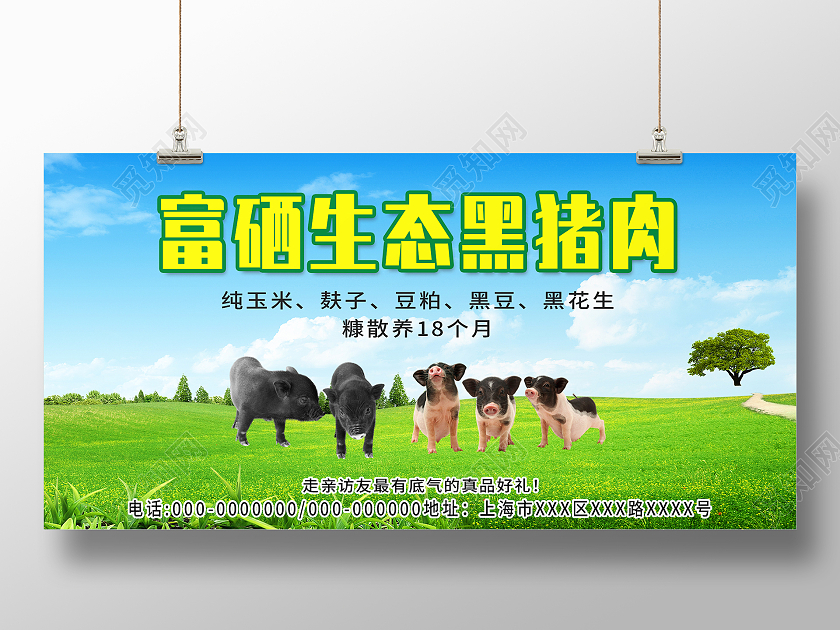 蓝色大气富硒生态黑猪肉美食宣传活动展板黑猪展板
