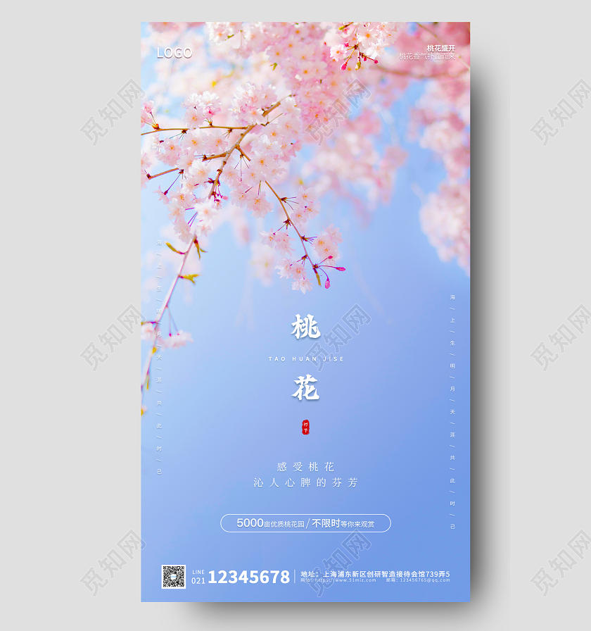 粉蓝色实拍简约大气桃花手机ui海报春天春季桃花手机宣传海报