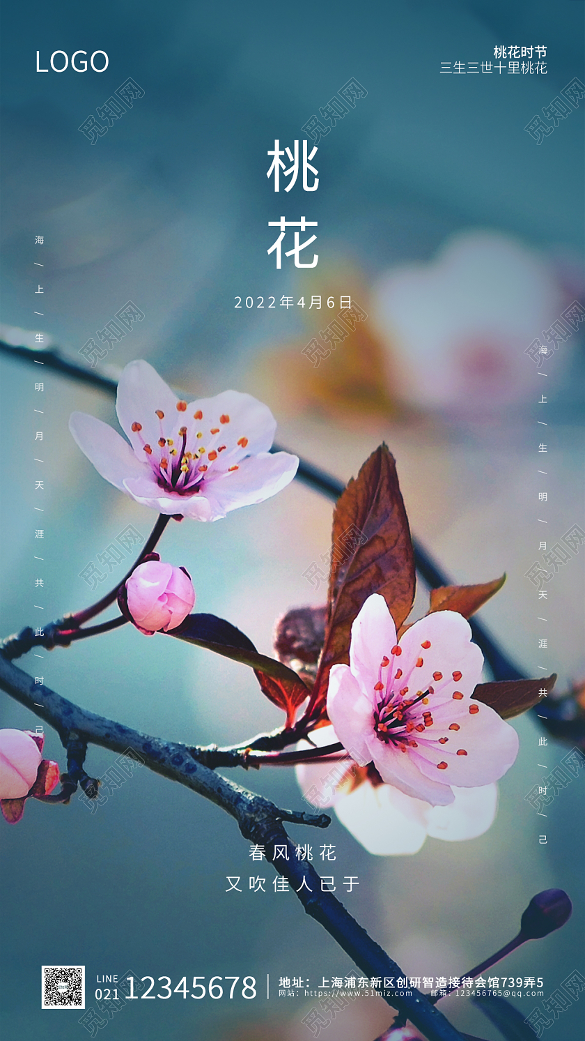 青粉色实拍简约大气桃花手机ui海报春天春季桃花春天春季桃花手机宣传海报