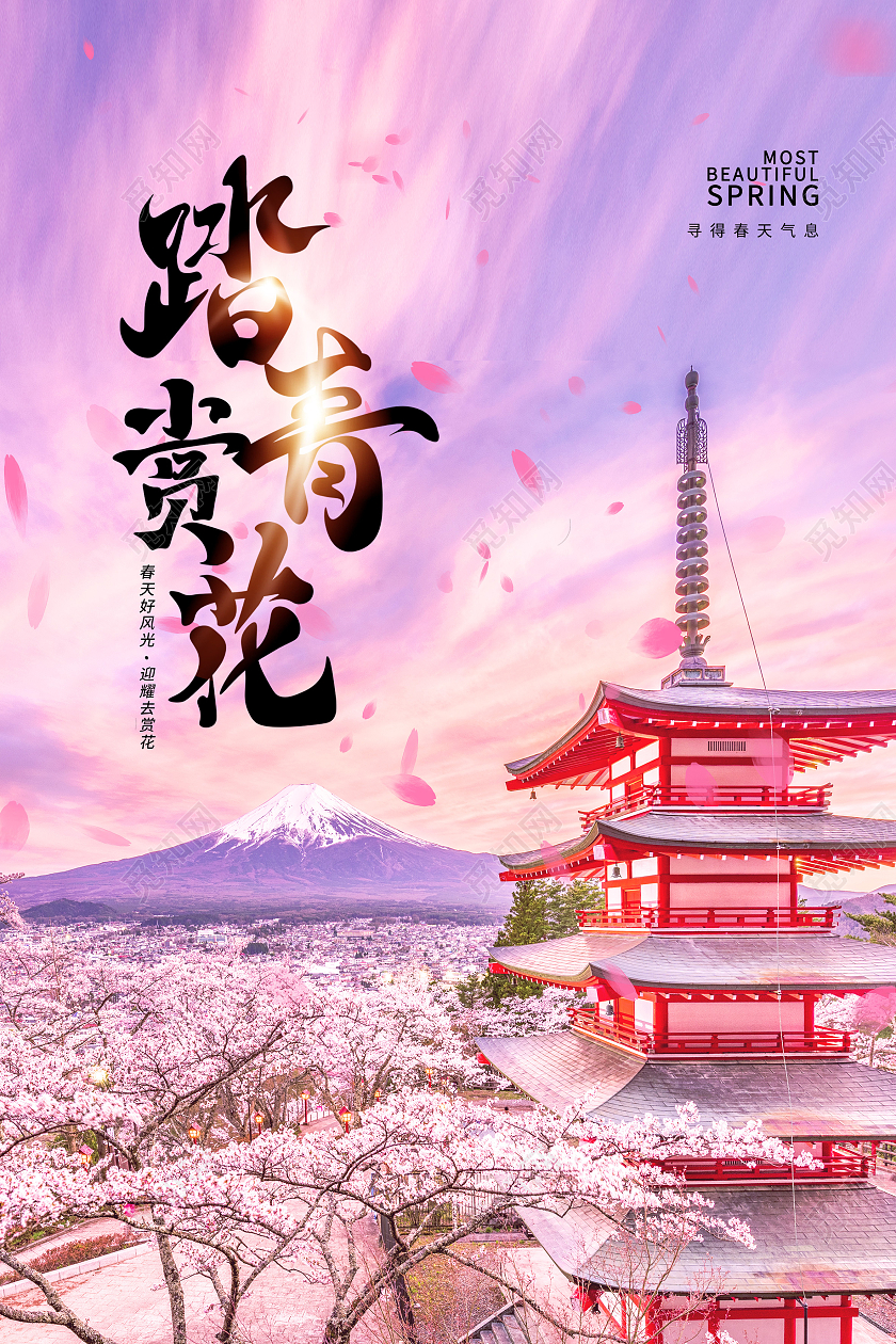 粉色简约踏青赏花春季赏花海报