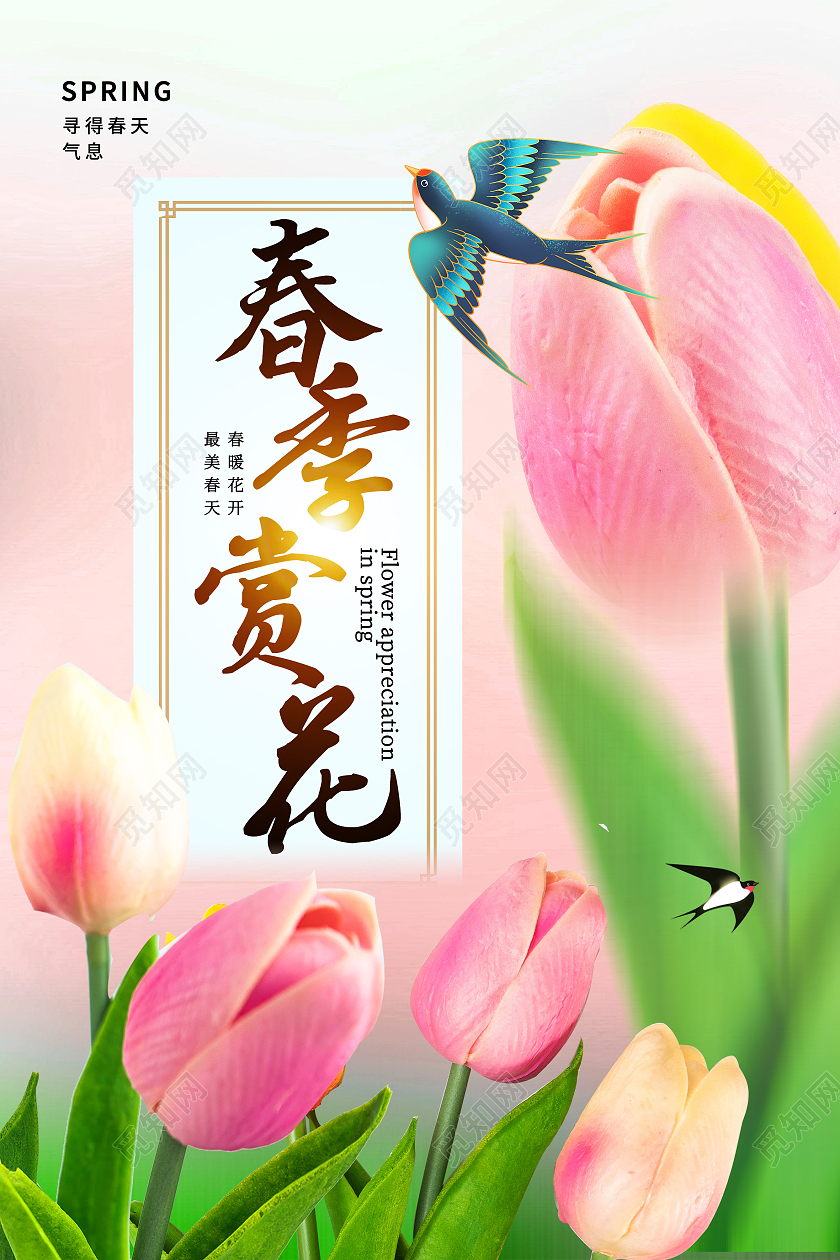 粉色简约春季赏花春季赏花海报