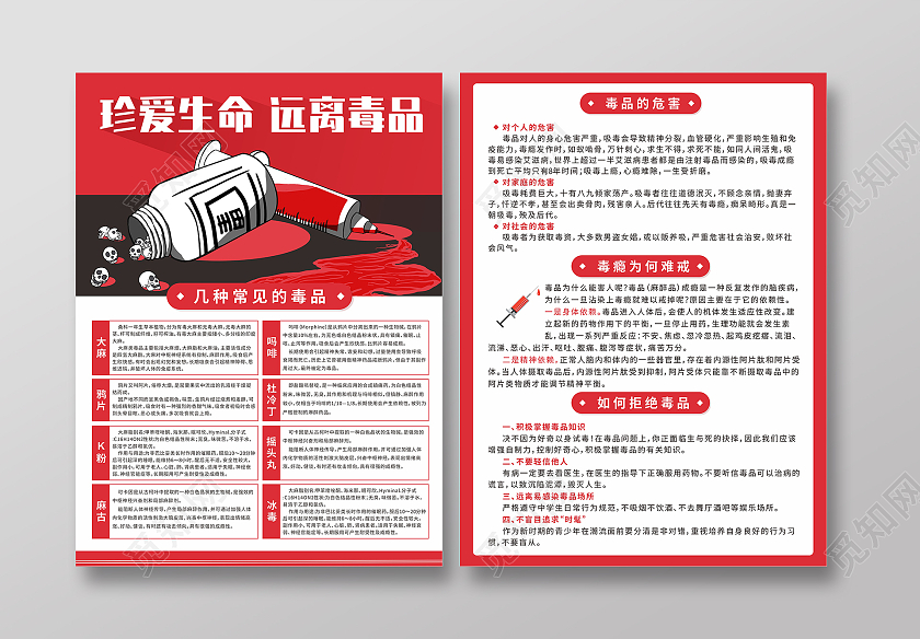 红色珍爱生命远离毒品青少年安全健康科普禁毒宣传单