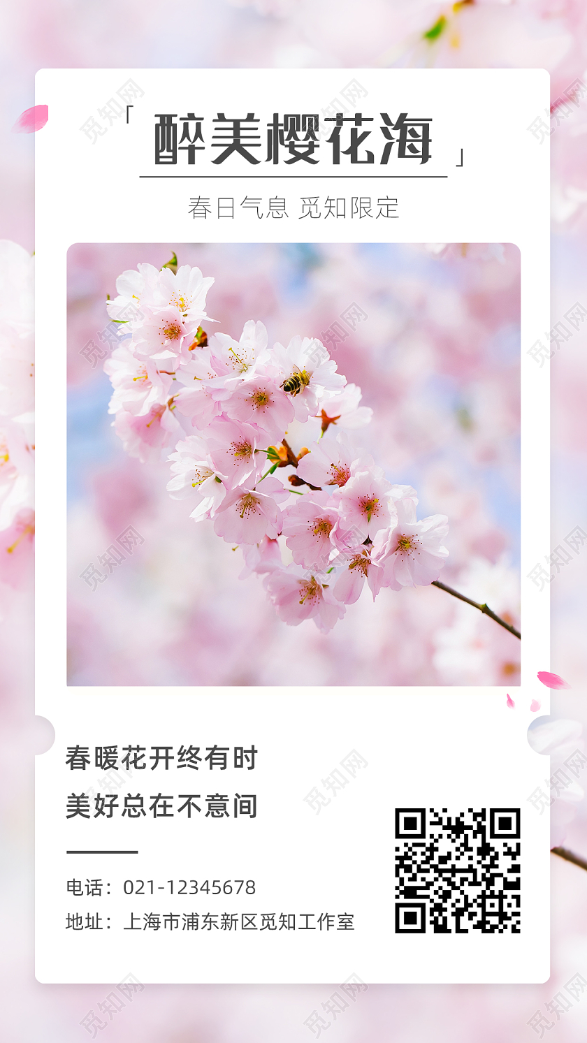 樱花粉色实拍春天春季樱花手机宣传海报