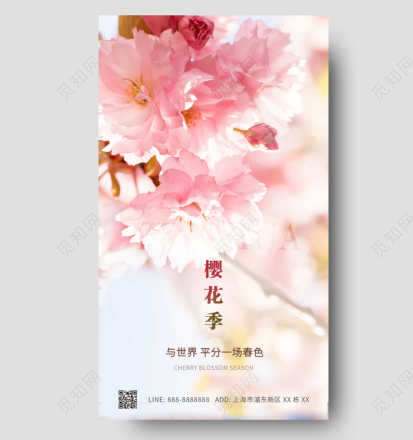 粉色简约实景樱花樱花节ui手机海报春天春季樱花手机宣传海报