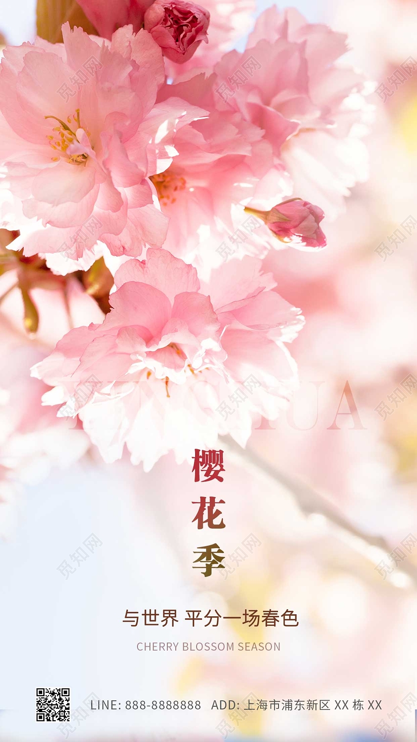 粉色简约实景樱花樱花节ui手机海报春天春季樱花手机宣传海报