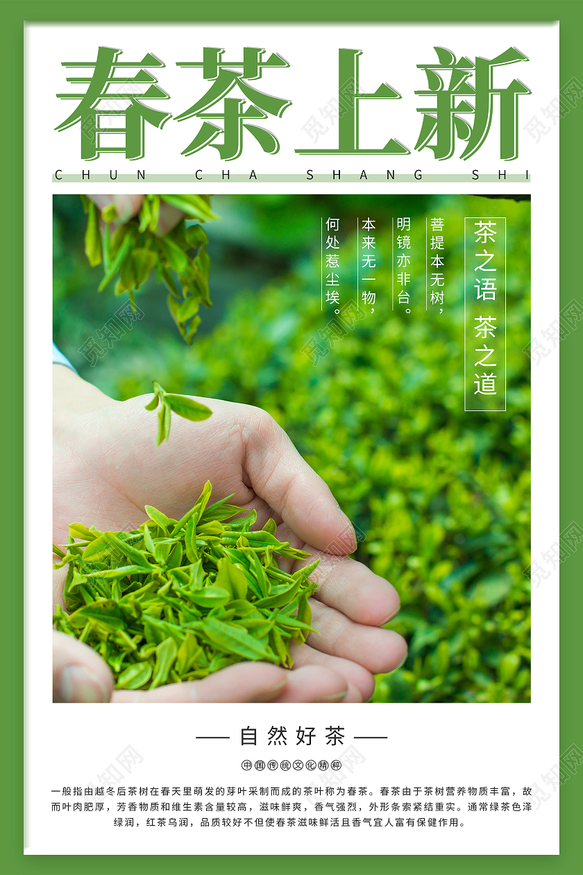 绿色简约清新大气摄影图茶叶春茶上新海报茶艺名片