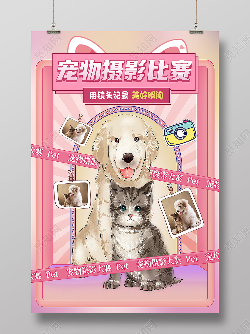 粉色卡通宠物摄影比赛宠物海报
