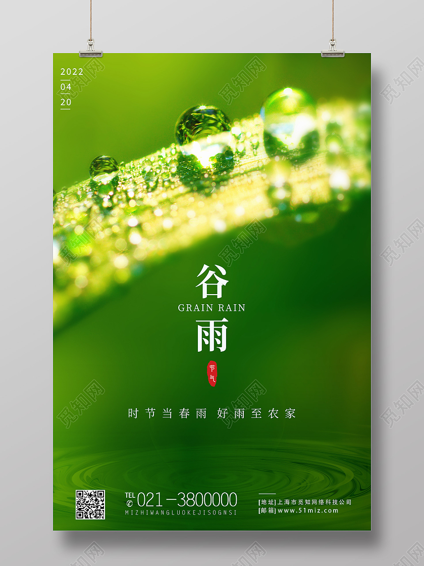 绿色简约谷雨二十四节气节气谷雨节日海报