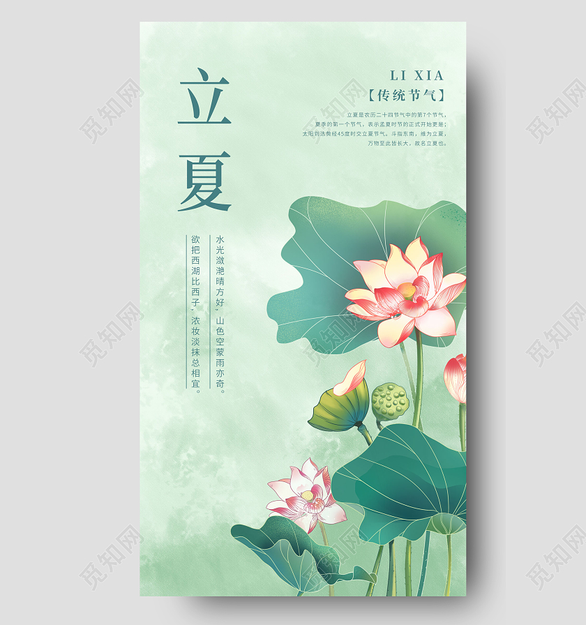 简约清新荷花立夏手机宣传海报二十四节气24节气