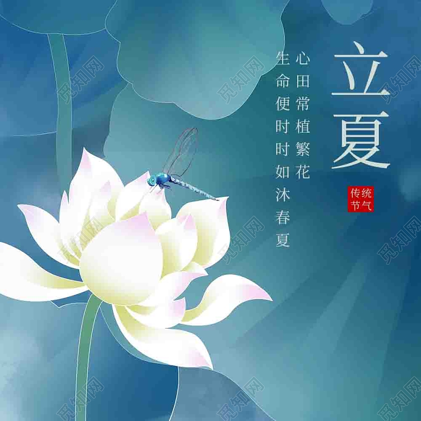 蓝色清新立夏封面微信公众号次图