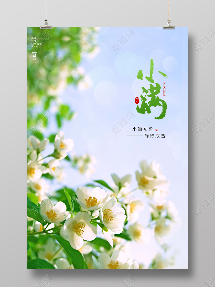清新小满节气二十四节气海报