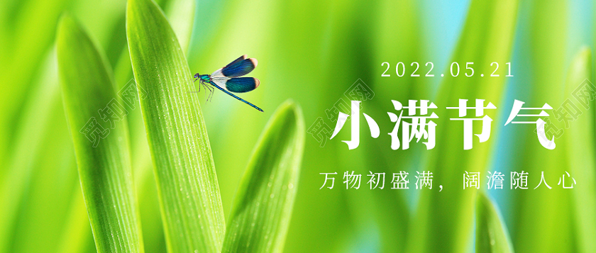绿色清新二十四节气小满首图微信公众号小满微信公众号首图