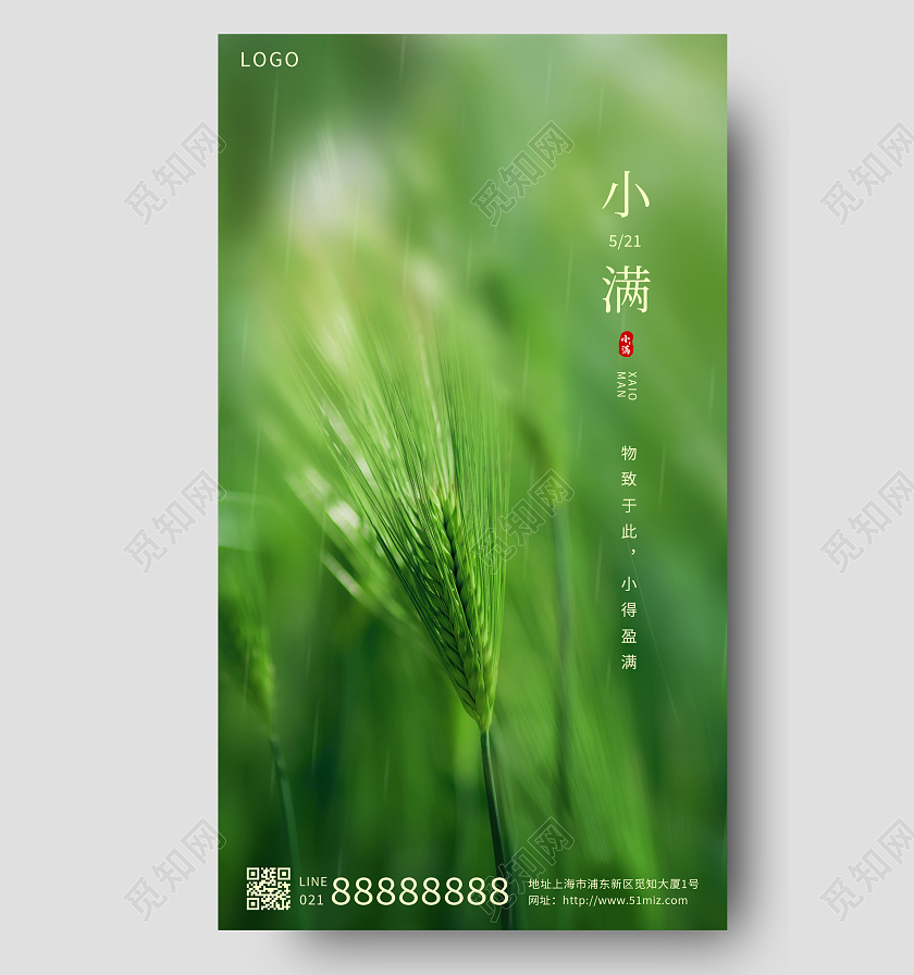 绿色简约小麦小满二十四节气手机海报