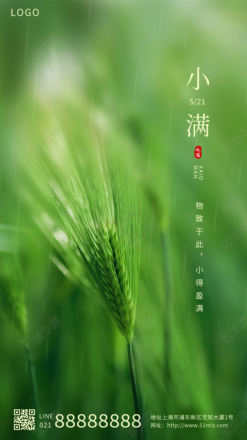 绿色简约小麦小满二十四节气手机海报