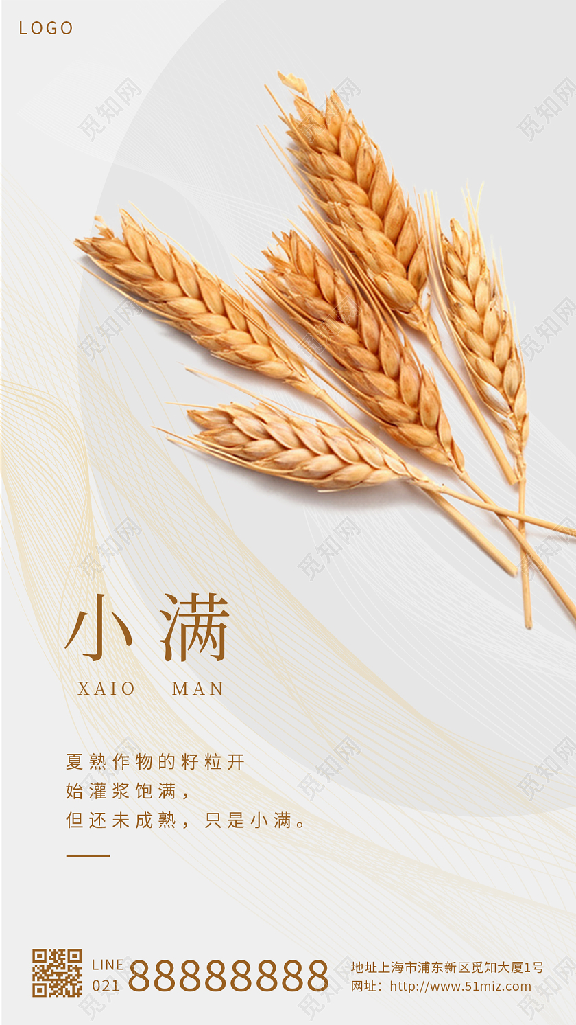 白色创意小满二十四节气小麦手机海报